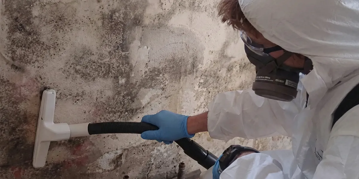 professional mold removal technician wearing protective equipment removing mold from a wall in Charlotte, NC